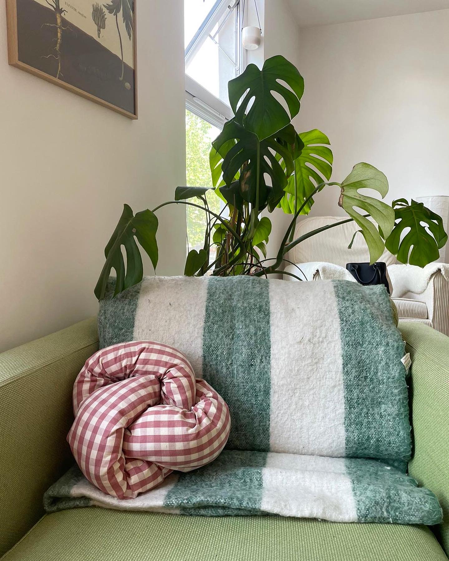 Mini Knot Squish Cushion on Arm Chair. 