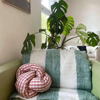 Mini Knot Squish Cushion on Arm Chair.