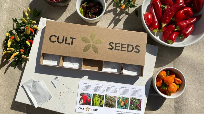 Co-founders Nick and Sam