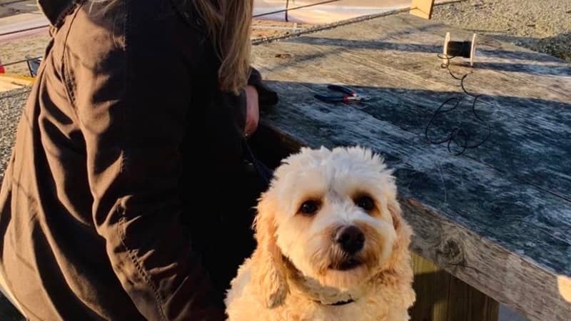 Bethan and her dog Mabel at the beach
