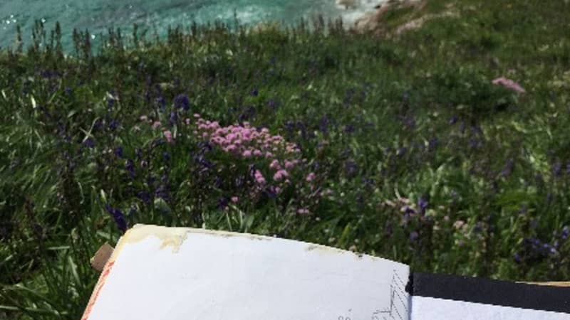 Sketching in nature