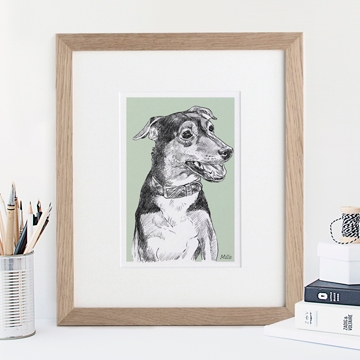 Pet, Dog and Cat Illustration from Letterfest