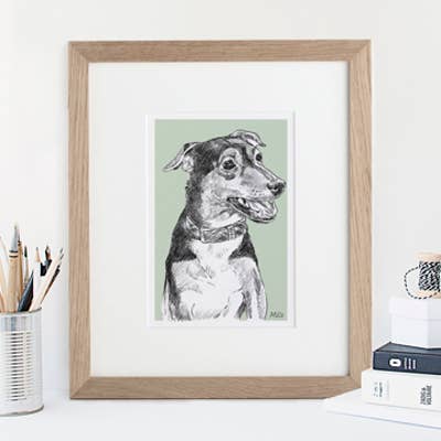 Pet, Dog and Cat Illustration from Letterfest