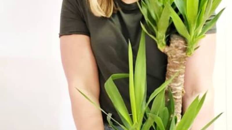 Meet Donna, owner of Pretty Cactus Plants and full blown crazy plant lady