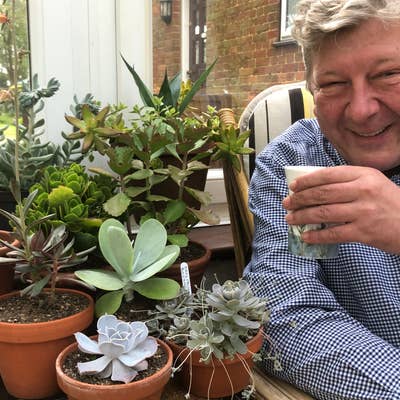 Ralph the shop owner enjoys tea in a conservatory decorated with succulent plants