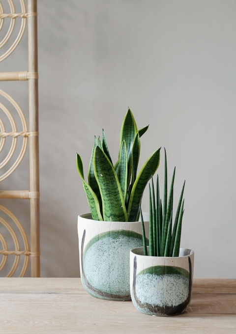 abstract stone plant pots