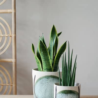 abstract stone plant pots