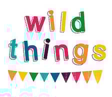 Wild Things Funky Little Dresses logo