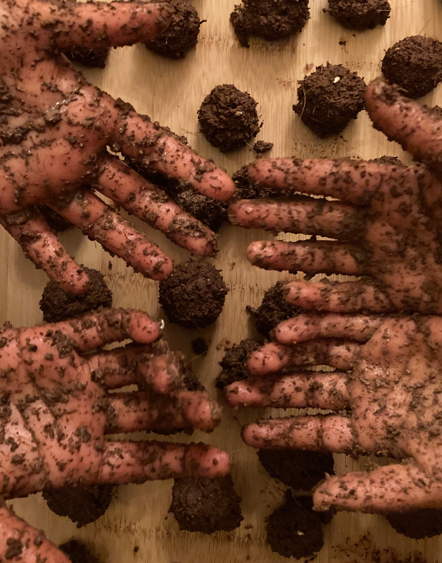 wildflower seed bomb kit