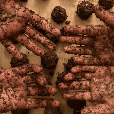 wildflower seed bomb kit