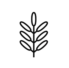 The Terracotta Herbs Company logo