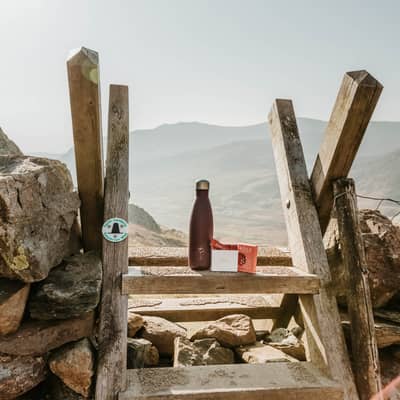 Spruce hydration outdoors drink water soft drink