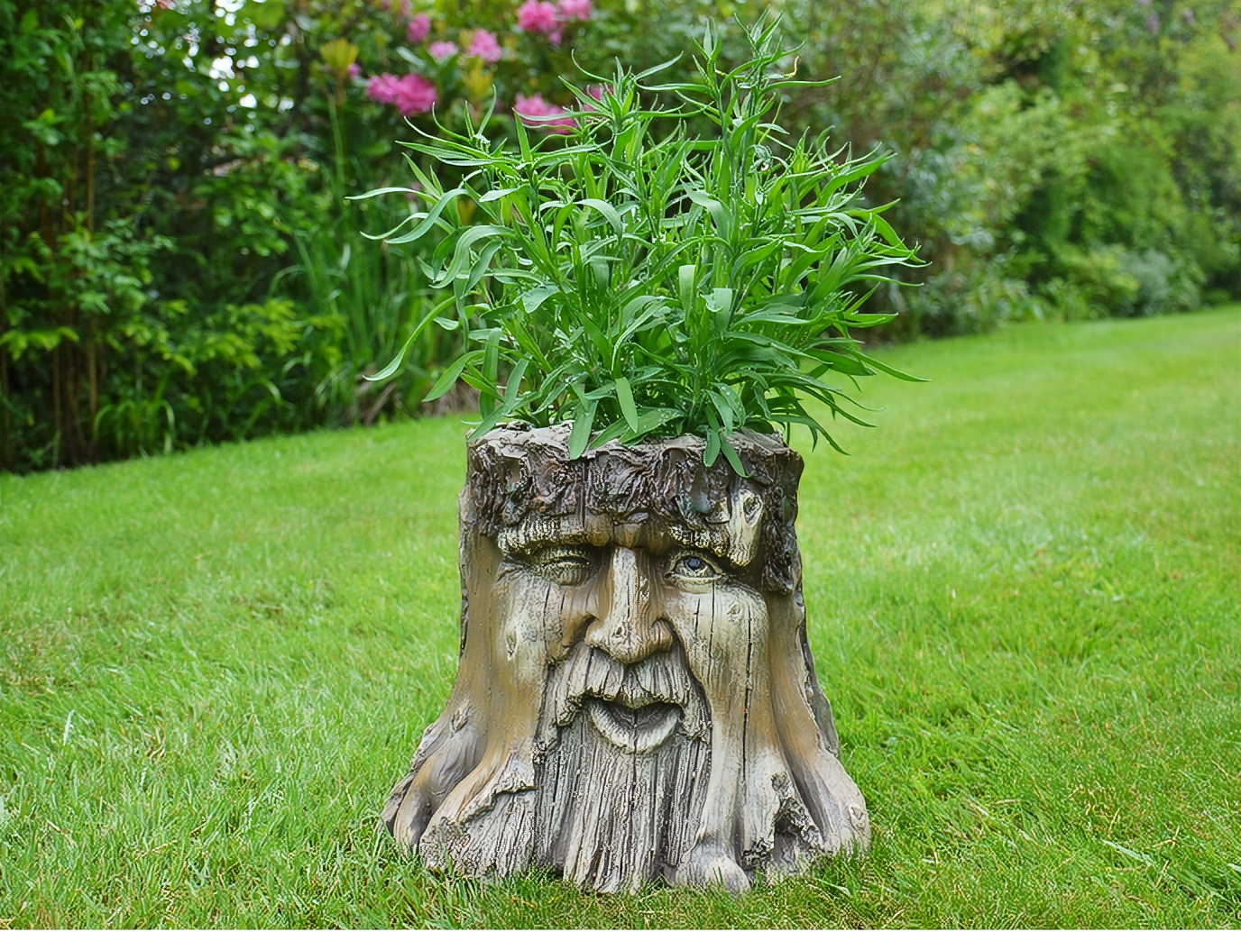 Enchanted Planter