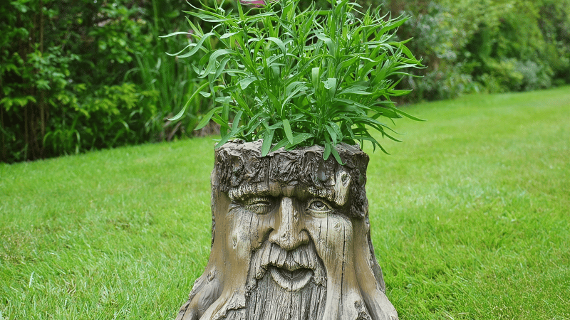 Enchanted Planter