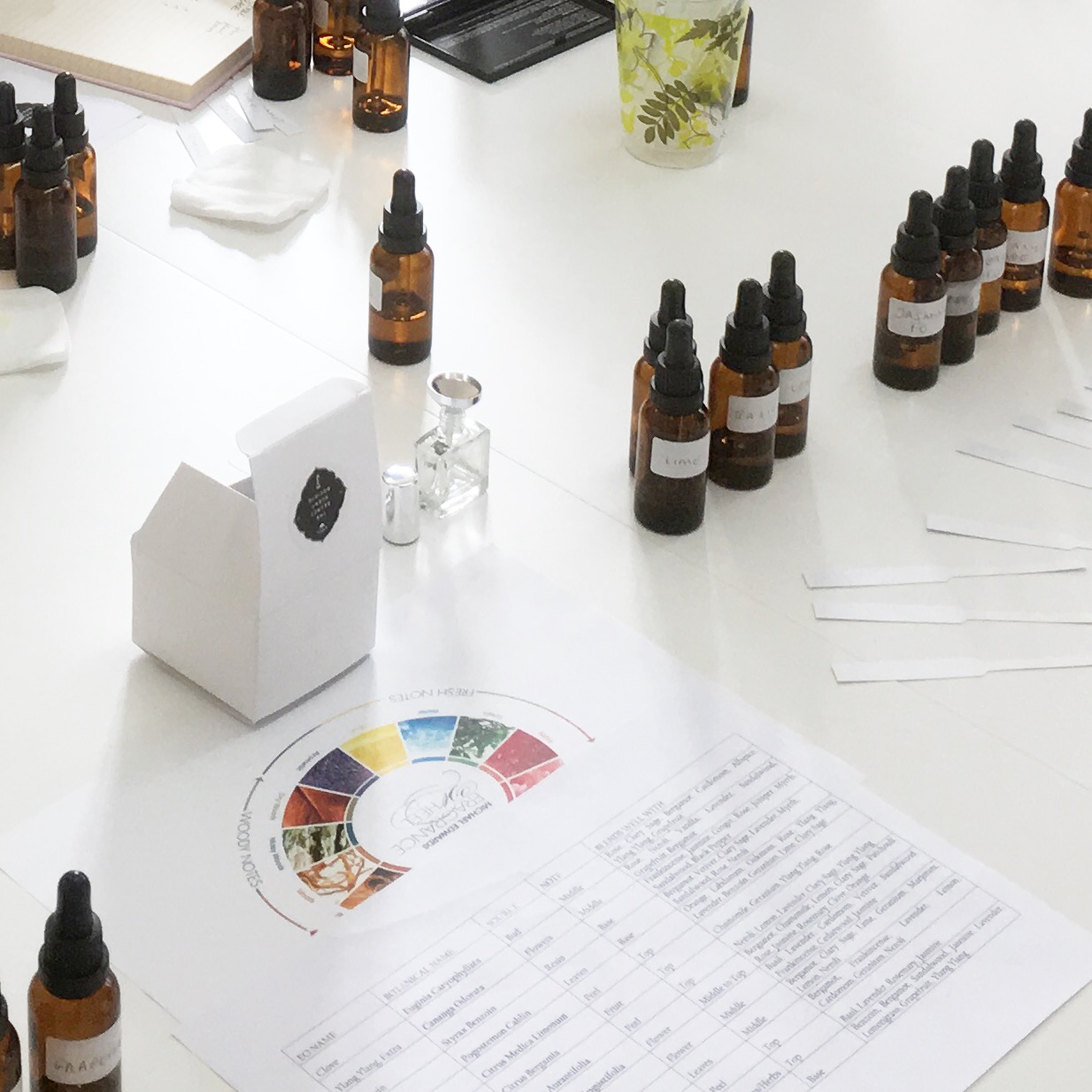 Bespoke Perfume Workshop