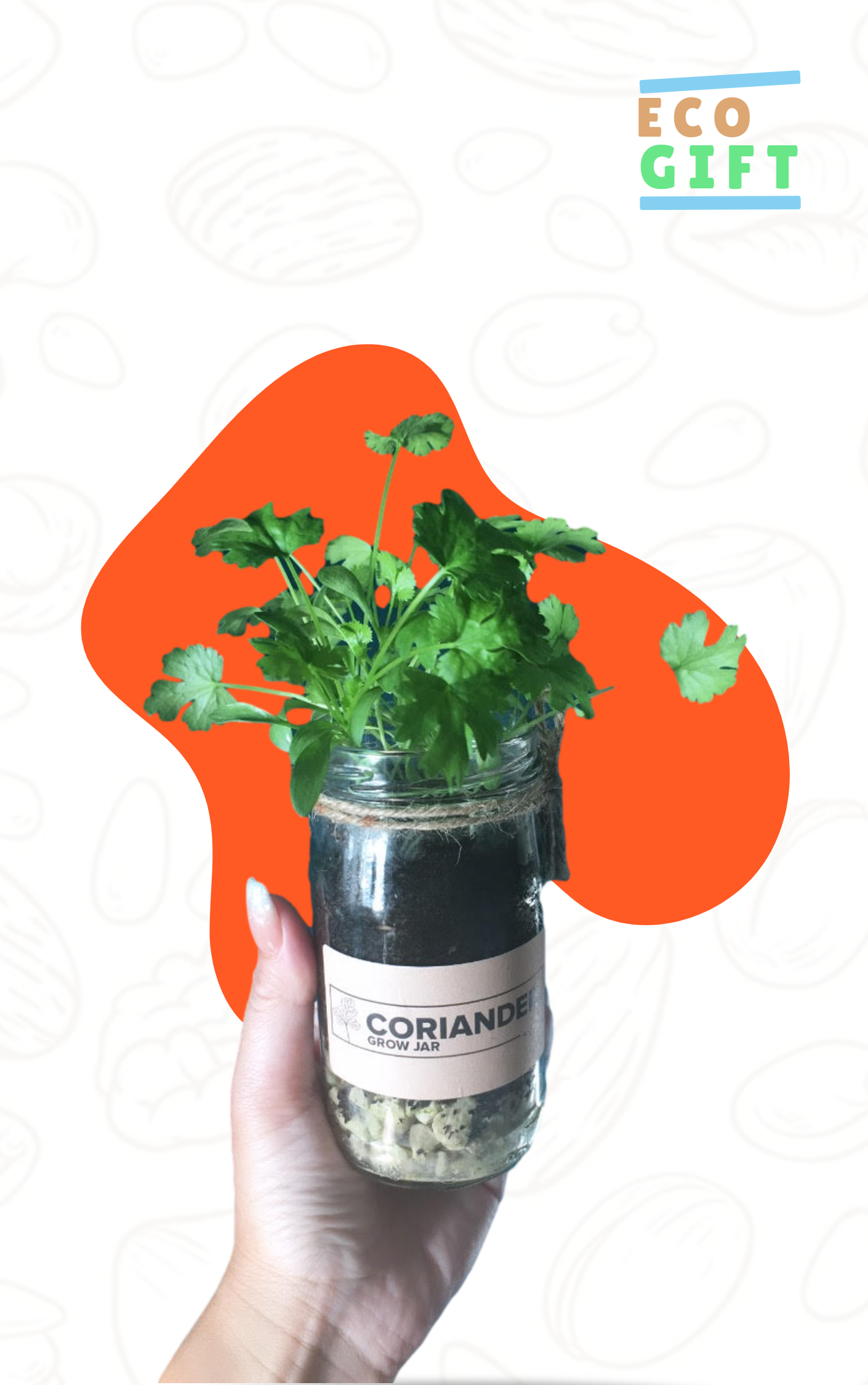 Eco Friendly Indoor Herb Garden Set