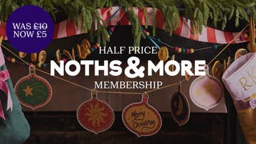 Noths-and-more-promo-standard-banner