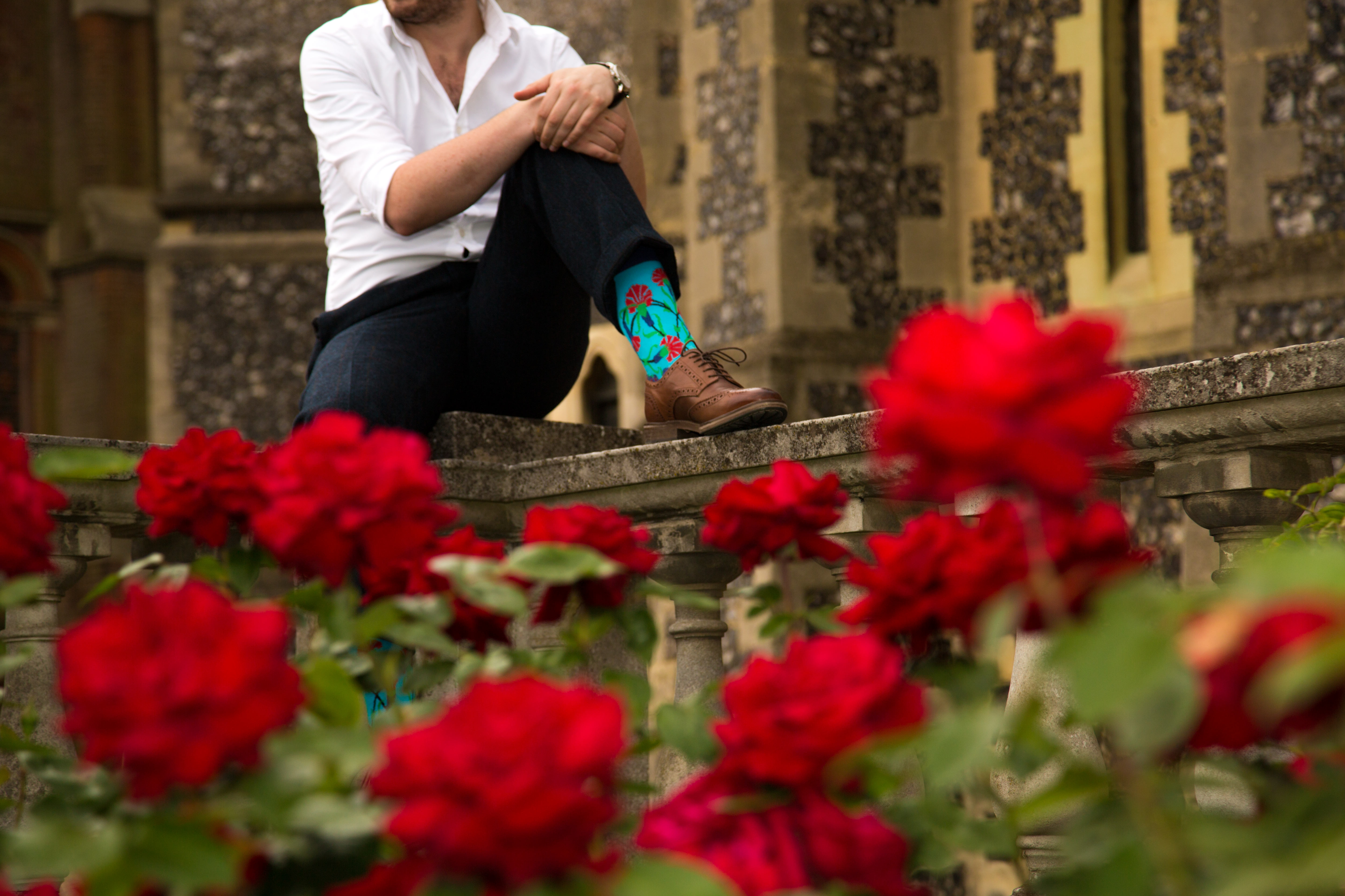 Turkish Floral socks amongst a rose flower bed