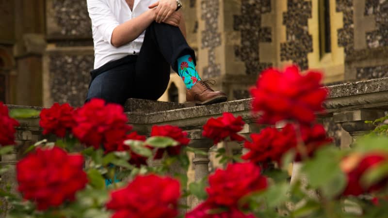 Turkish Floral socks amongst a rose flower bed