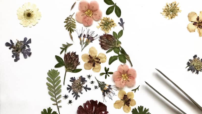 Pressed Flower Art Bunny Rabbit