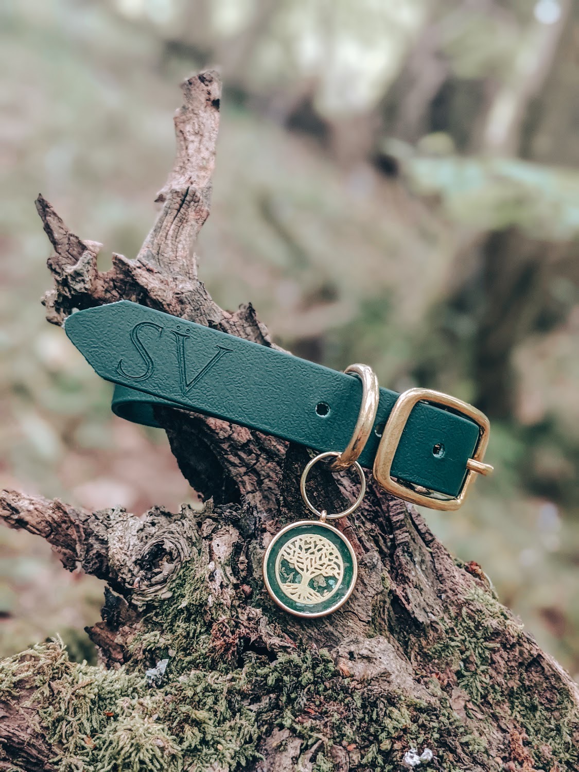 Faerie, dark green collar, Snovargar collar, Elysian Fields tag, tree of life, dog collar in nature, adventure-proof dog collar, vegan dog collar