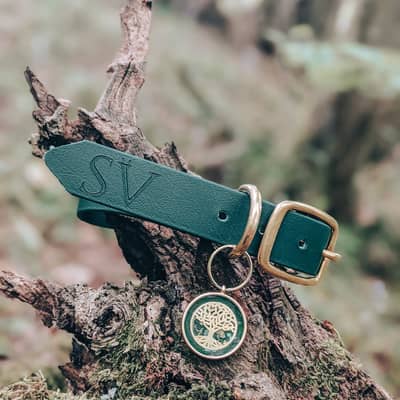 Faerie, dark green collar, Snovargar collar, Elysian Fields tag, tree of life, dog collar in nature, adventure-proof dog collar, vegan dog collar