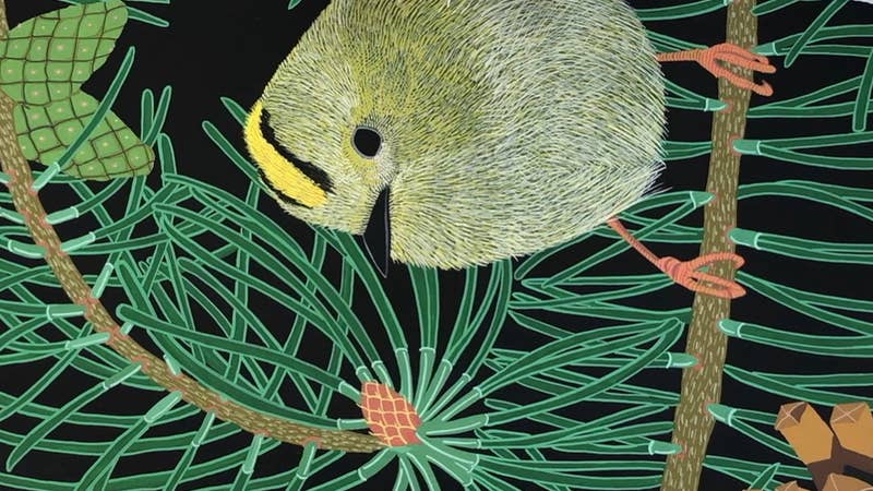 Bird the artist painting a Godlcrest