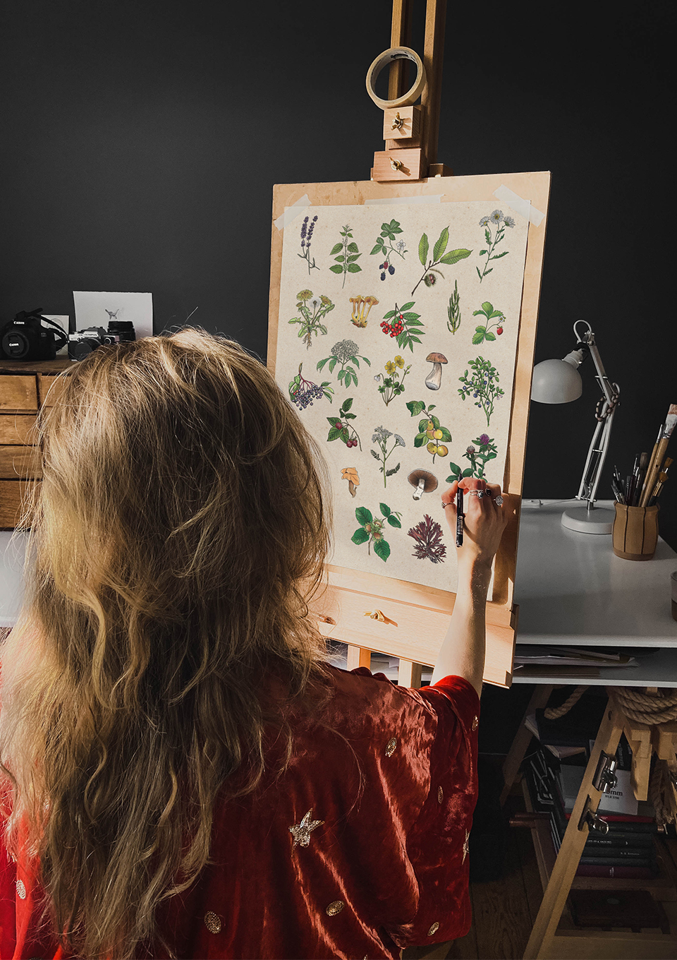 Botanical illustration print