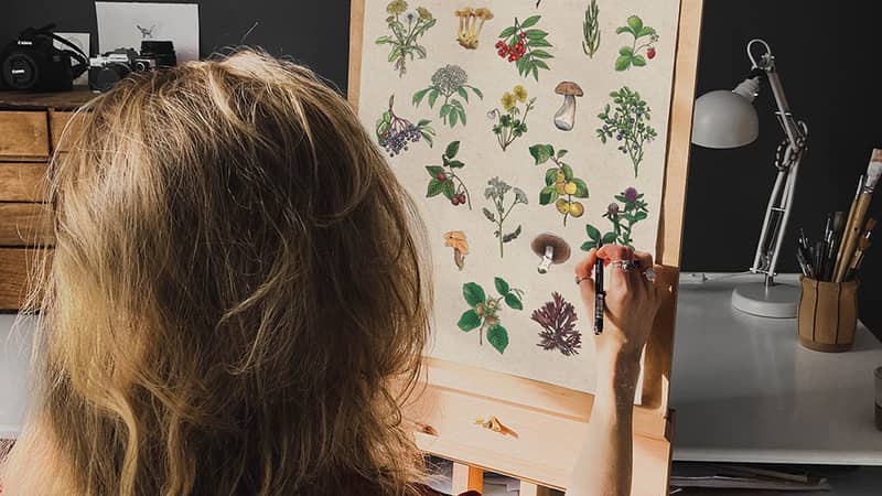 Botanical illustration print