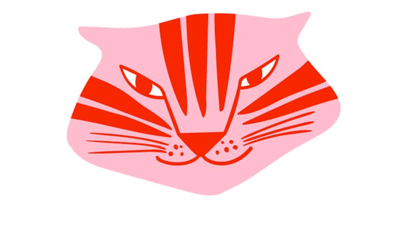 Rebel and Wild Tiger