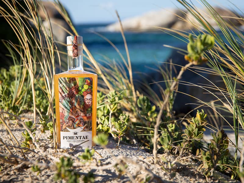 Spicy Margarita Cocktail