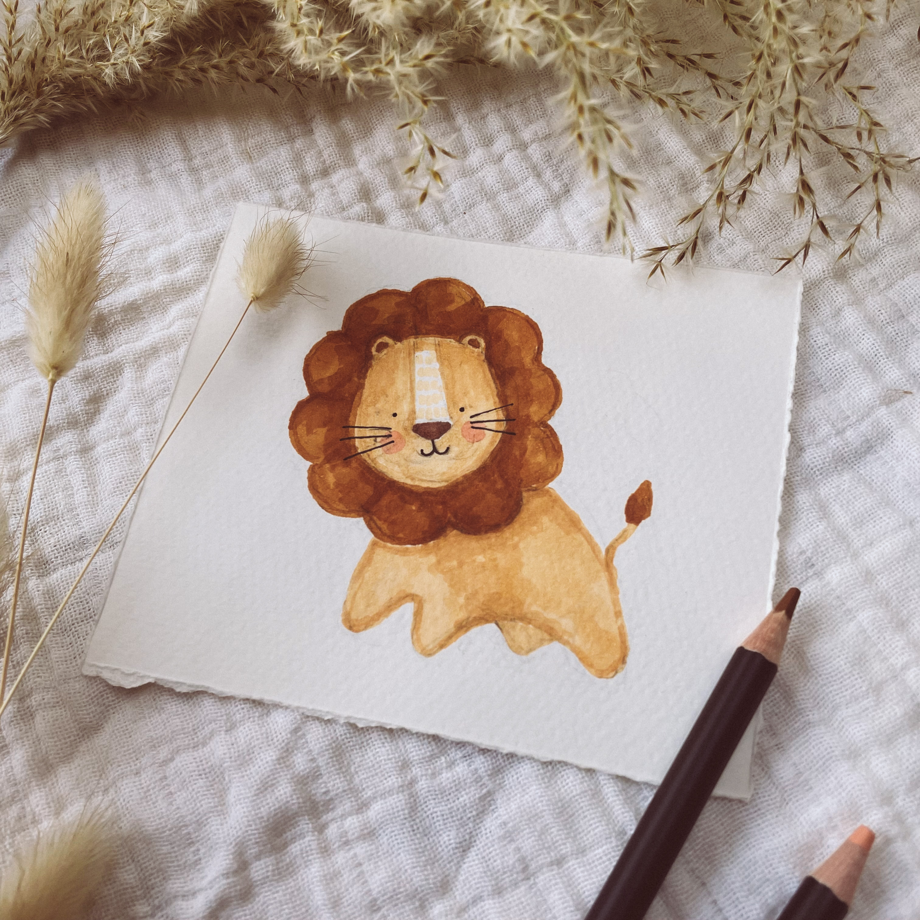 Hand drawn illustrations 