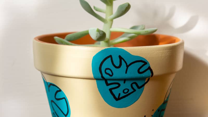 Holly Tamara Illustrations hand painted plant pot