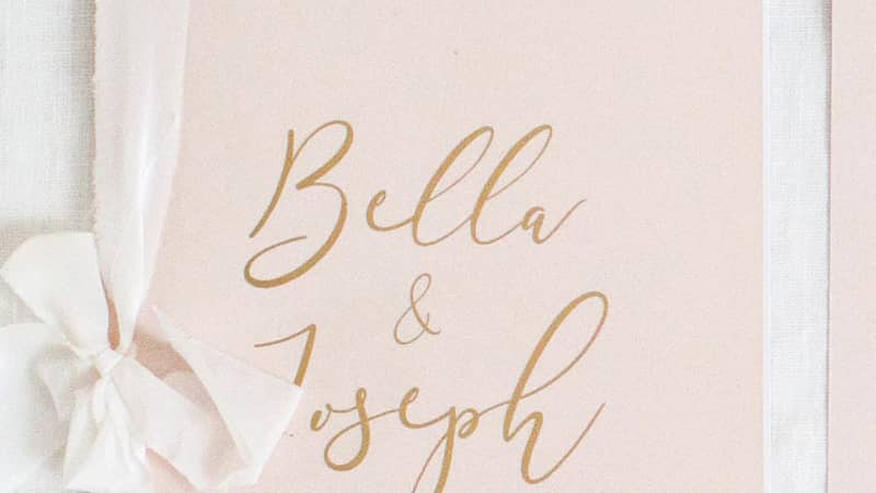 The Rose Bloom Collection