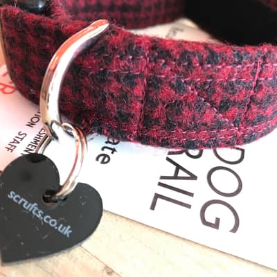 Berry Tweed Dog Collar