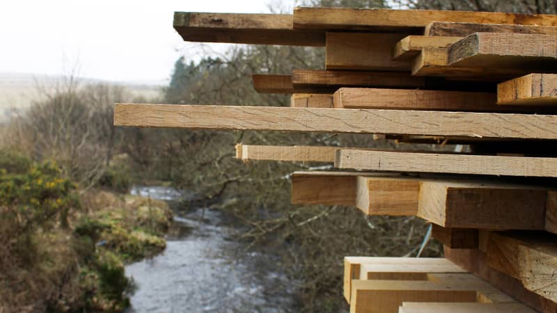 Collecting our oak from Dartmoor