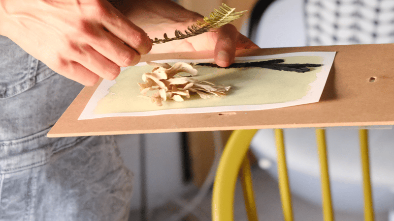 a cyanotype print being created