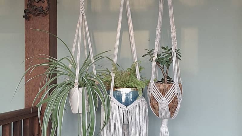 Beautiful handmade macrame plant hangers in natural cotton twine.