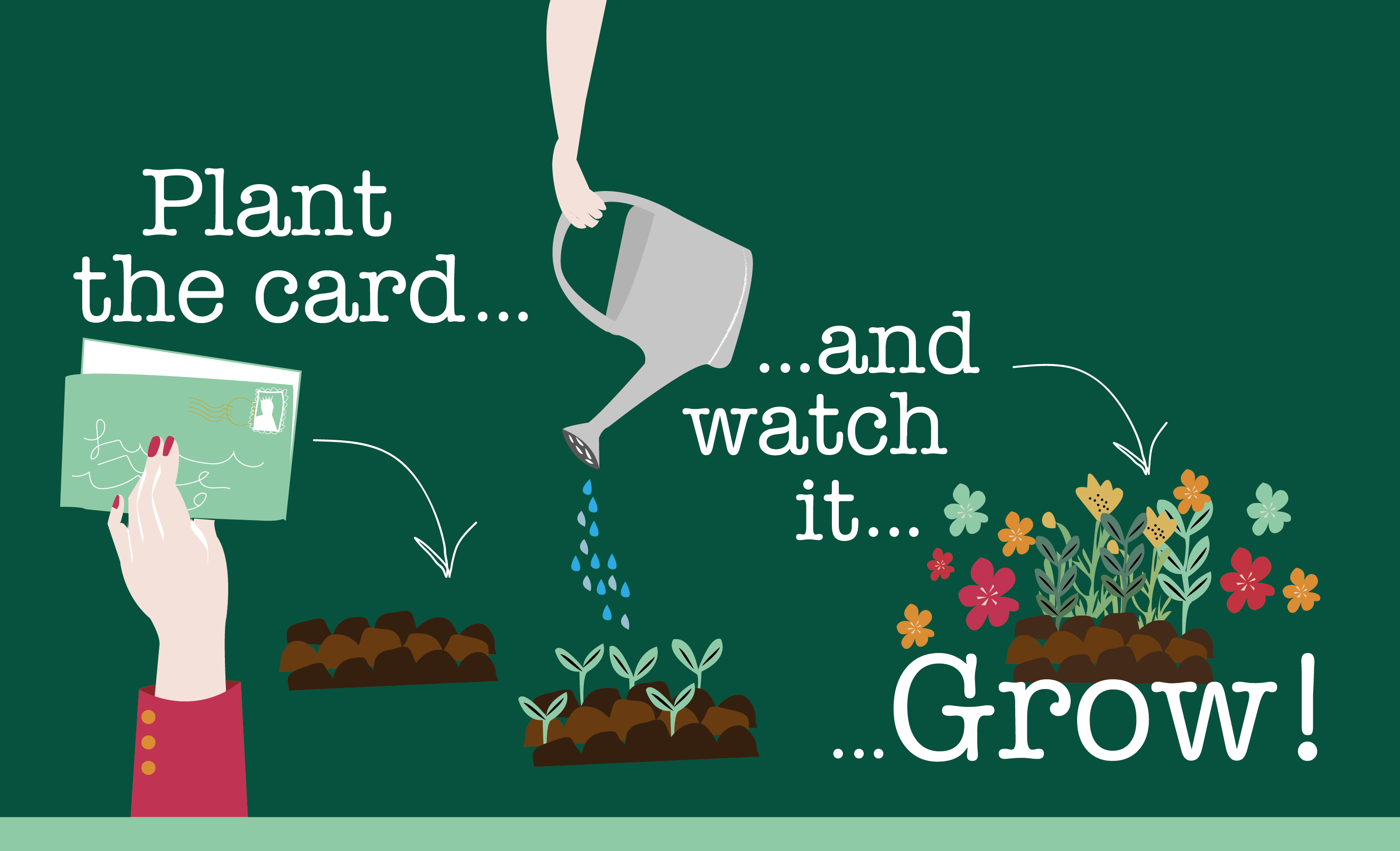 Plant the card and watch it grow! 