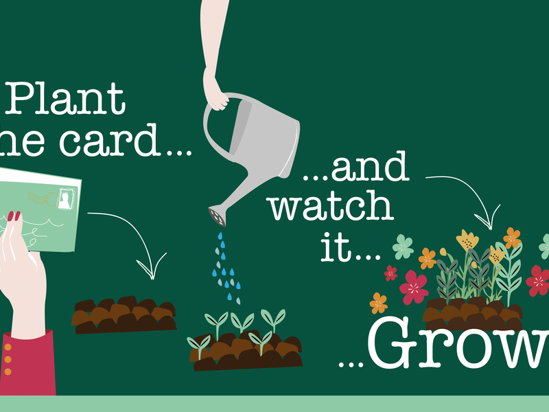 Plant the card and watch it grow!