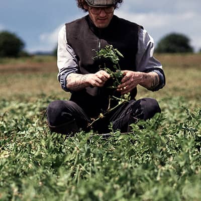 Garden Tonic and Peas