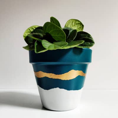 colourful plant pot