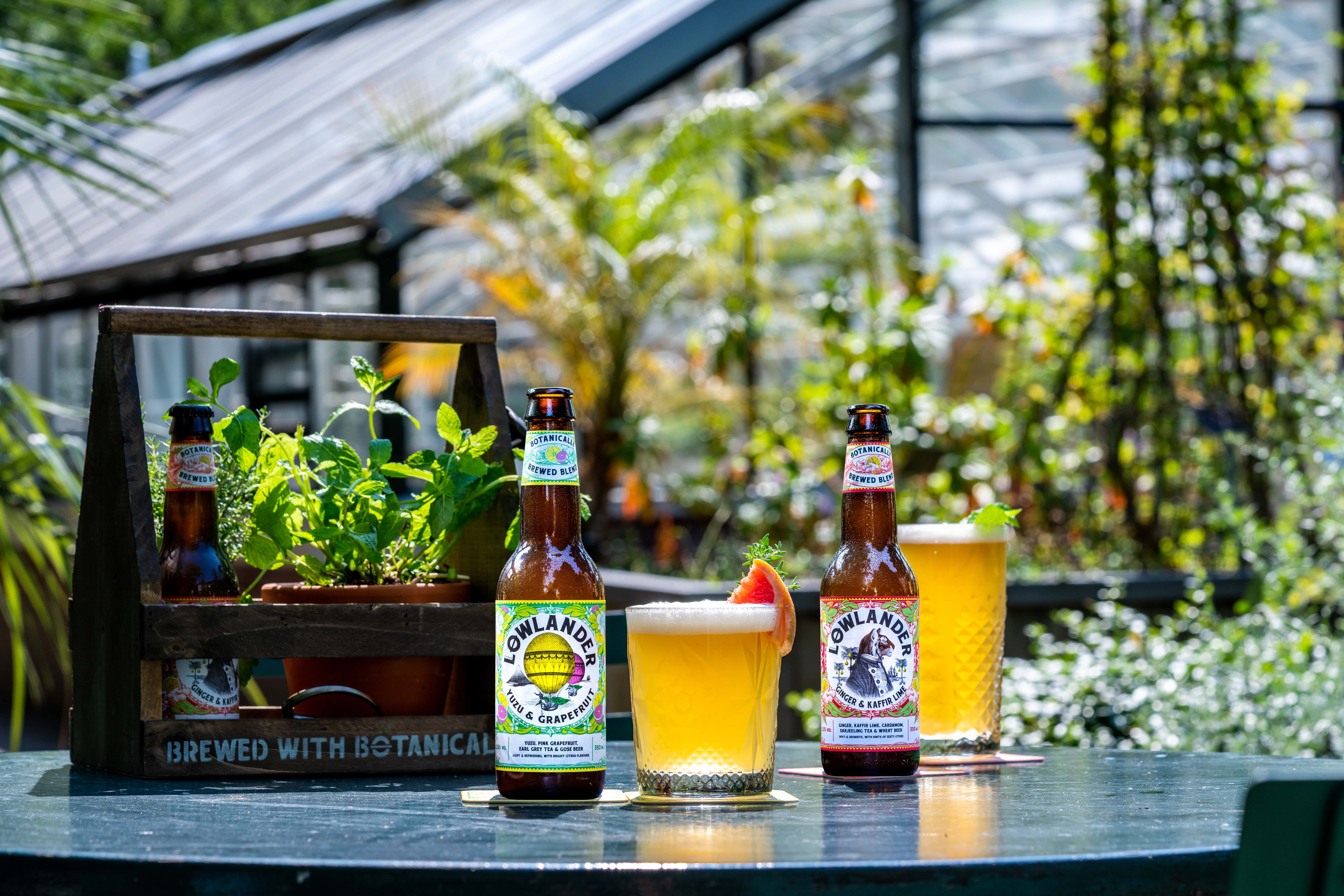 Lowlander Botanical Infusions