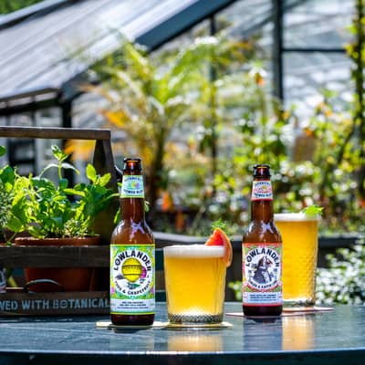 Lowlander Botanical Infusions