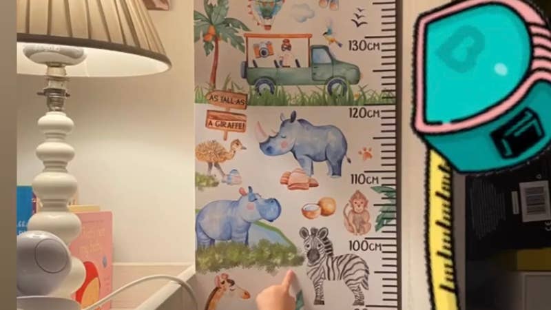 Personalised Height Chart