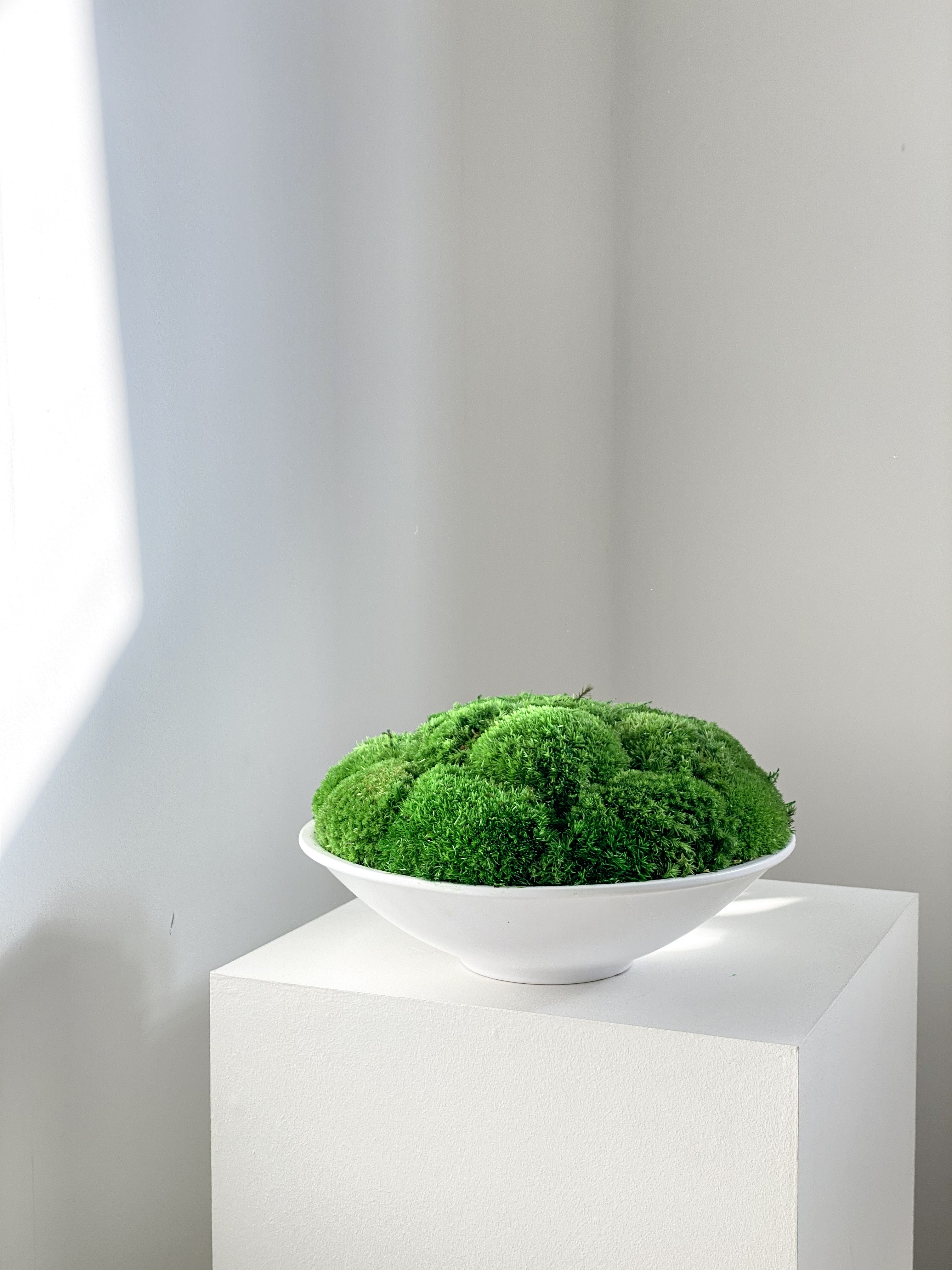 Native Living Abi Green