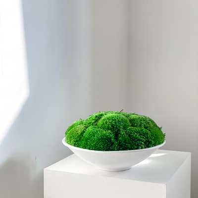 Native Living Abi Green