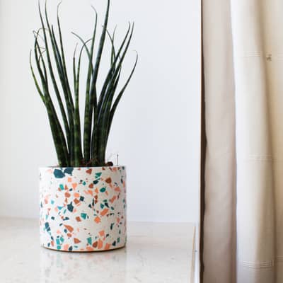 Handmade small plant pot featuring blue and pink terrazzo chips sitting on a window sill with a small plant inside.
