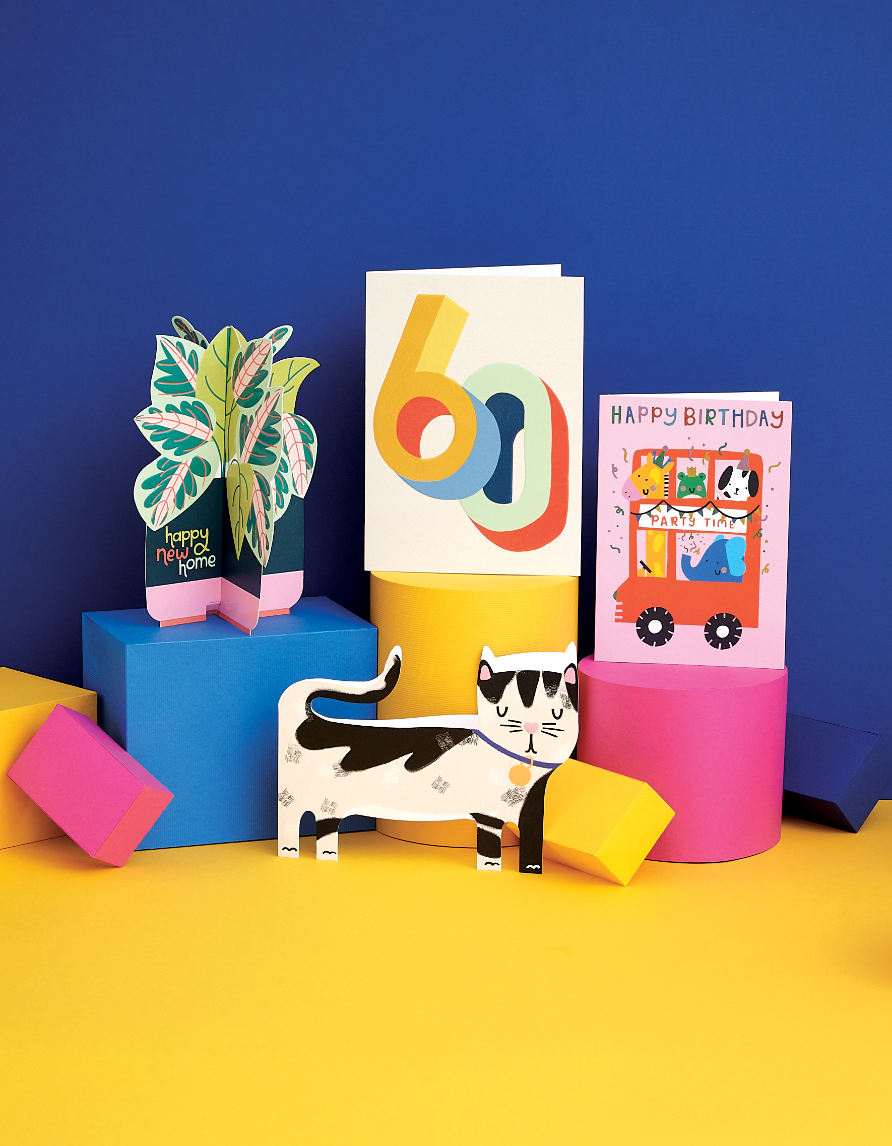 Colourful and fun greeting cards | Raspberry Blossom