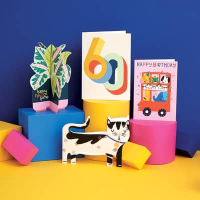 Colourful and fun greeting cards | Raspberry Blossom